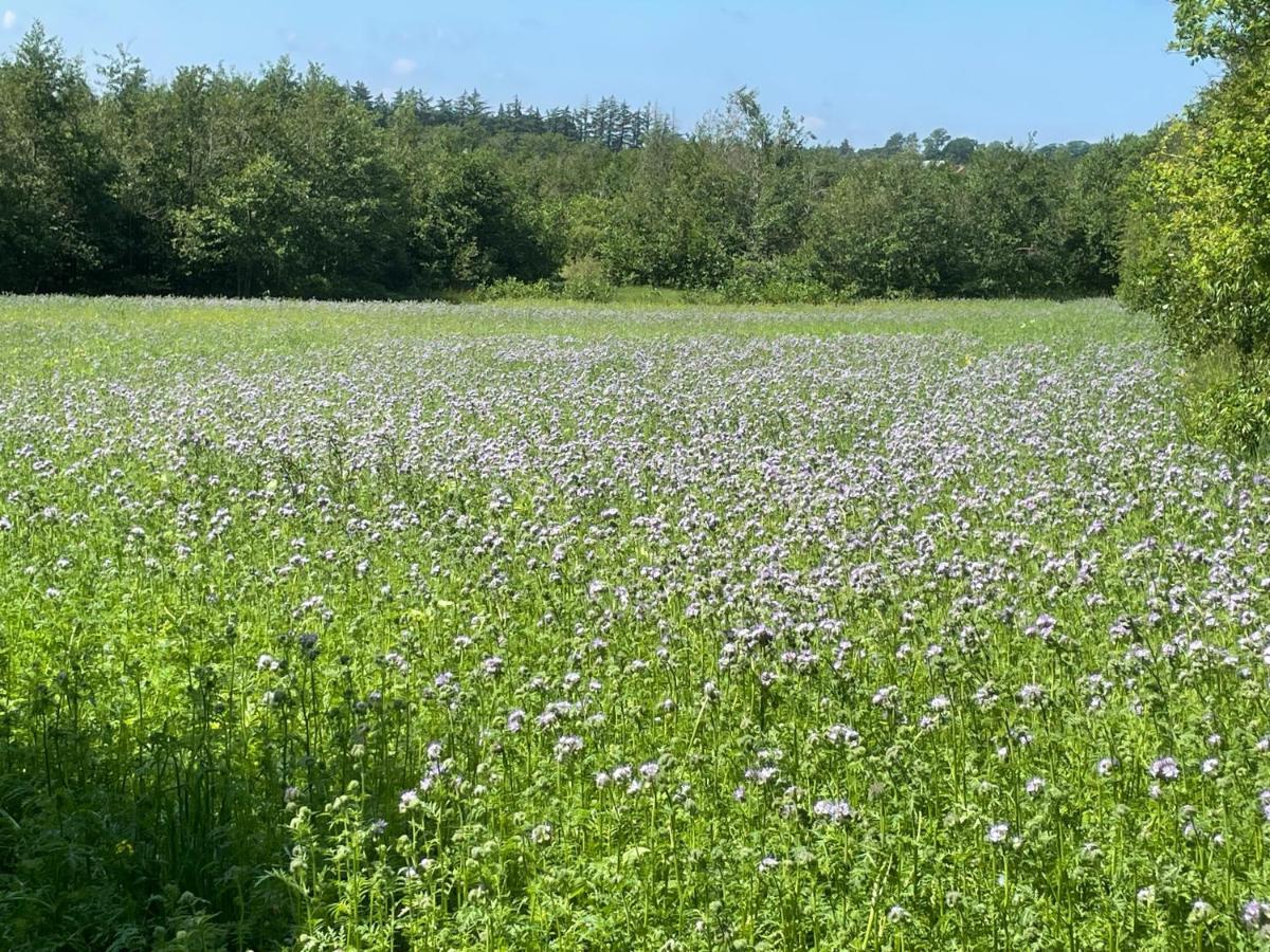 Korsholt-Natur B-B Sindal Buitenkant foto